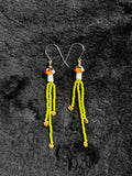 Hanging Daisies