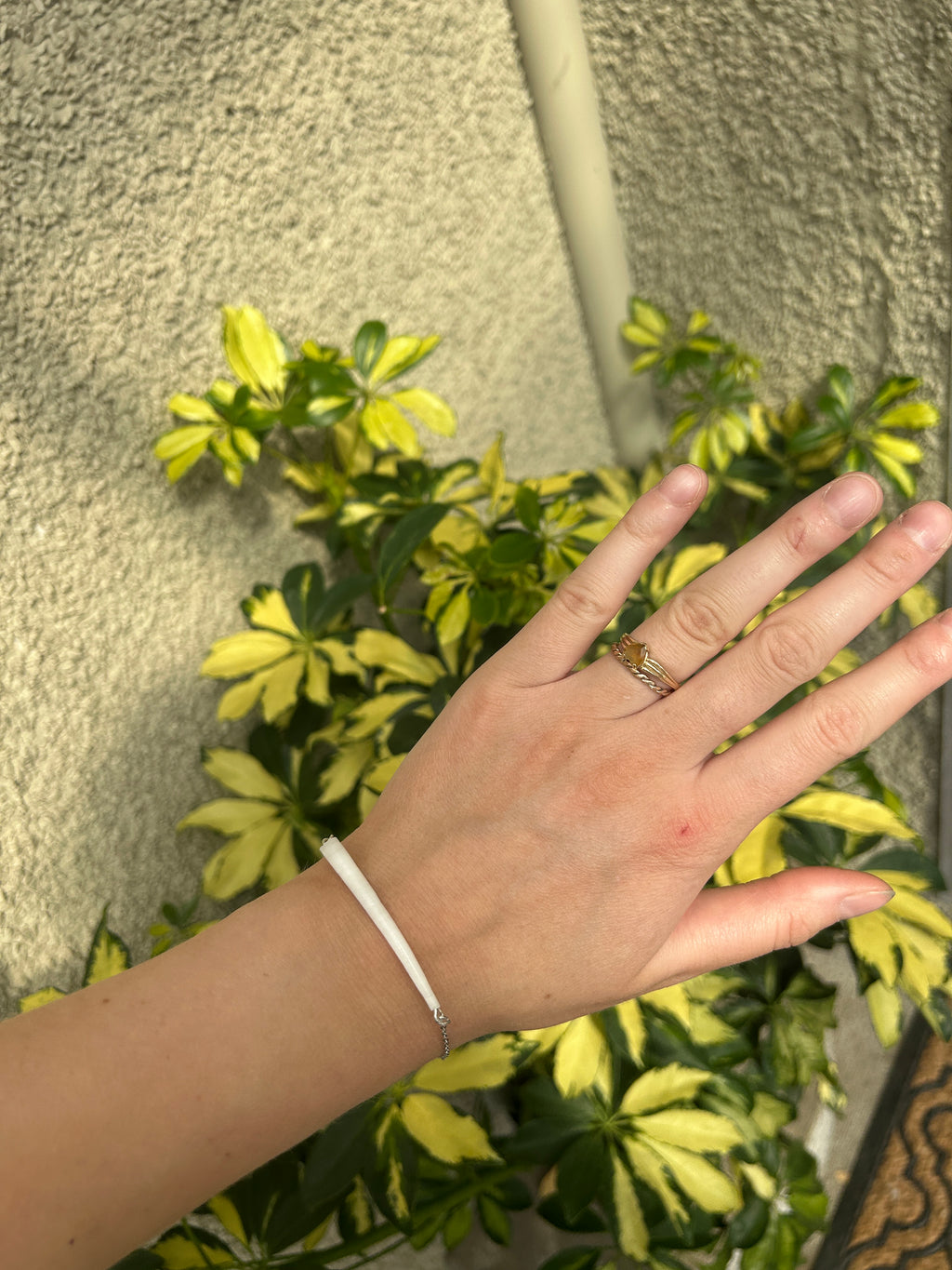 Dentalium Bracelet
