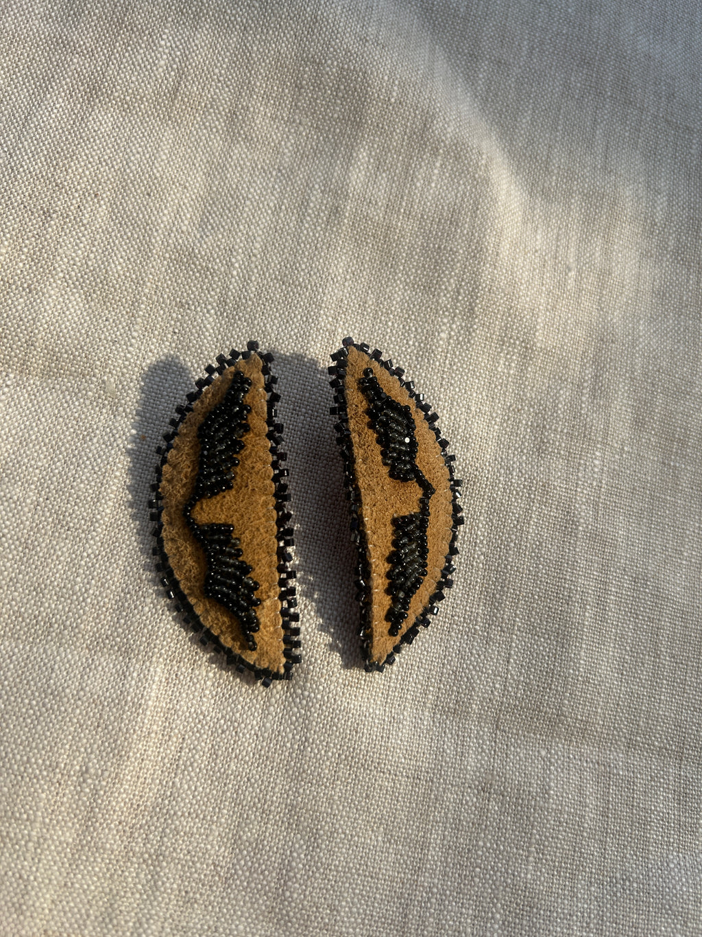 Ravens Wings