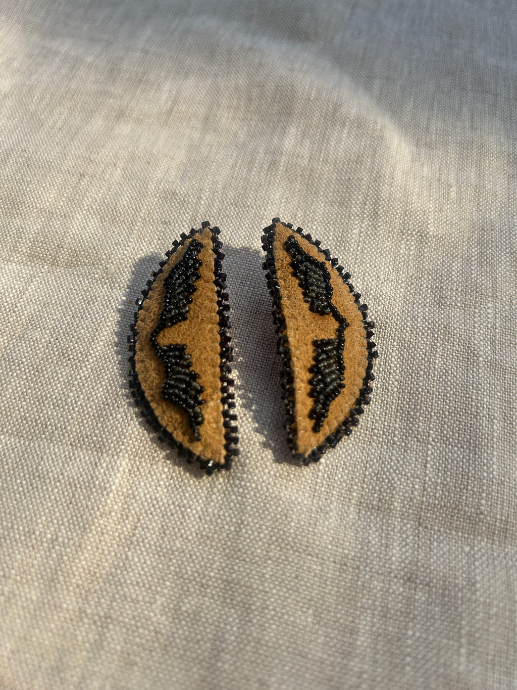 Ravens Wings